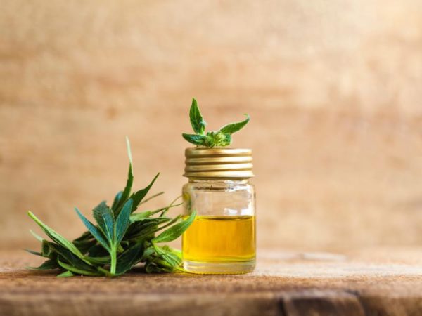CBD Oil for Your Health